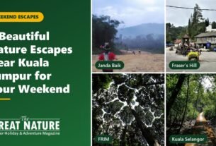 Collage of Janda Baik, Fraser's Hill, FRIM and Kuala Selangor: 4 nature escapes near Kuala Lumpur