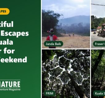 Collage of Janda Baik, Fraser's Hill, FRIM and Kuala Selangor: 4 nature escapes near Kuala Lumpur