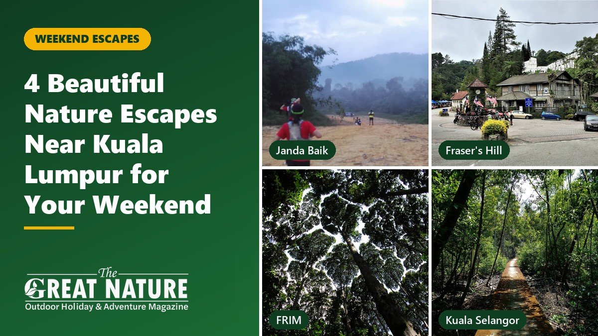 Collage of Janda Baik, Fraser's Hill, FRIM and Kuala Selangor: 4 nature escapes near Kuala Lumpur
