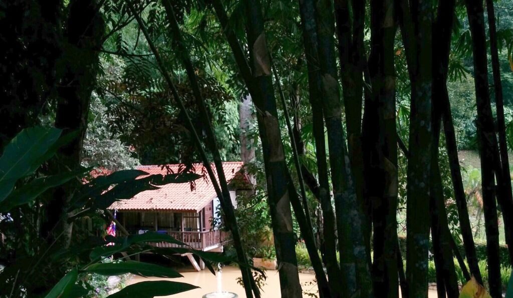 Lakeside chalet among bamboo in Janda Baik, one of the nature escapes near Kuala Lumpur